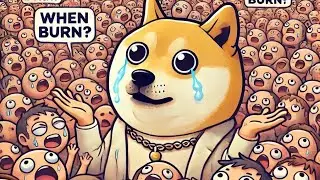 BABYDOGE COIN: QUANTIT&Eacute; BR&Ucirc;L&Eacute;ES // CANARY CAPITAL //METAPLANET