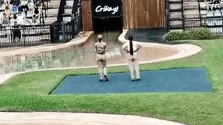 PART 4- THE CROCOSEUM (Crocodile Show)