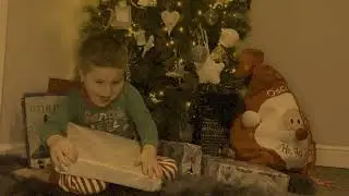 Put the Fairy on the Tree - Daz