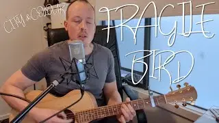 Fragile Bird - City and colour (Cover by Brendan Burchall)