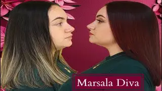 Diva Marsala Color 66.26 in 5 minutes