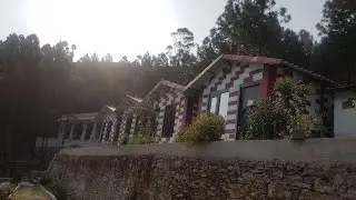 Pine Tree Resort Ghurdauri, Pauri, India | Travel With Priya