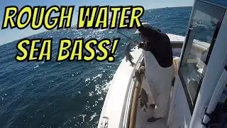 Virginia Beach Black Sea Bass (In Rough Water)