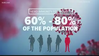 What is herd immunity and is it the solution to the coronavirus pandemic?