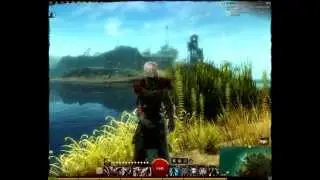 Gw2 - Cofres de zona/territorio (Ejemplo; Costa Marea Sangrienta)