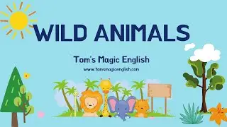 Wild Animals Talking Flashcards with Tom's Magic English
