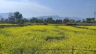 Natural Beautiful Nepal  | | In My Home Town |