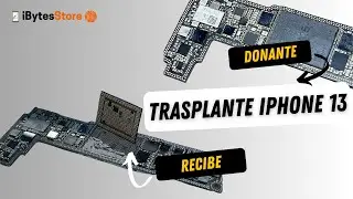 Trasplante iPhone 13. Recibio fuerte golpe