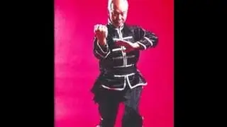 5 Family Fist Kung Fu