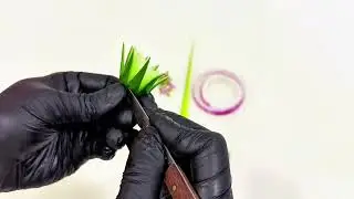 Creative combination plating tutorial#Creative plating#The method of arranging flowers