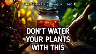 The Science of Compost Tea