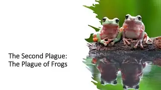 2026-2-1 Sermon | The Plague of Frogs | Exodus 7:25 - 8:15 | Faithful Cheah