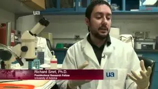 Fruit Fly Research
