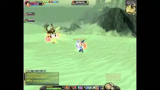 My Full STR Bower lv66 vs 78 mob