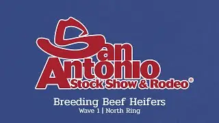 Breeding Heifers | Wave 1 - North - San Antonio Stock Show 2026