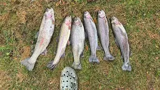 FISHING FOR TROPHY TROUT AT BLUE SPRINGS!!! (Had the place to myself 🫨)