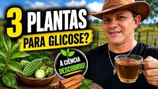 03 REMÉDIOS CASEIROS  e naturais matadores de diabetes LIMPA O AÇUCAR DO SANGUE