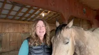 Healing Women with Horses: The Magic of Equine Energy Medicine #horsetherapy #equinetherapy #stress