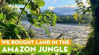 We Bought Land in the Amazon Jungle