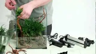 How to set up beautiful nano aquarium | DIVERSA |