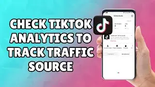 How to Check TikTok Analytics to Track Traffic Source