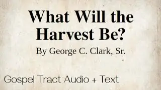 What Will the Harvest Be? | Gospel Tract Audio & Text