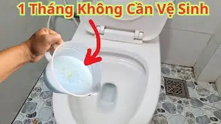 Cho thứ này vào vào bồn cầu sạch bóng cả tháng không cần phải vệ sinh hàng ngày mà vẫn thơm