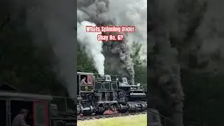 What's Spinning Under Shay No. 6? #CassScenicRailroad #GearedSteam #SteamLocomotive #CrankshaftPower