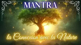💎MANTRA DE LA CONNEXION AVEC LA NATURE 🌿 Harmonie avec la Terre et l&rsquo;Univers