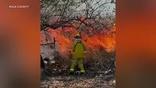 Paia Elementary students move to distance learning after brush fire forces campus closure