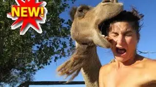 Most Extreme Selfies Around the World  | Video HD