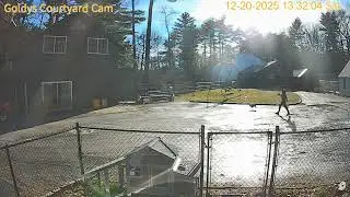 Goldy's Courtyard 131pm JAnine Wanda return 12202025