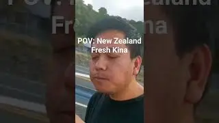 POV: Trying New Zealand Fresh Kina.