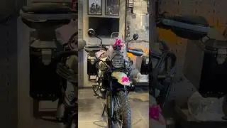 We Delivered 3 Himalayan&rsquo;s 450😎| Manish Chhoker | #automobile #royalenfielddiaries #bike #minivlog