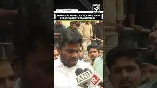 &ldquo;Congress masters sitting outside&hellip;&rdquo; Annamalai suspects George Soros link after Pitroda&rsquo;s racial slur