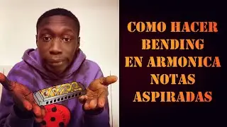 🔥 TODOS LOS BENDING ASPIRADOS EN ARMONICA