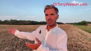 Recovering from the Psychological Impact of the Industrial Revolution | Understanding and Healing
