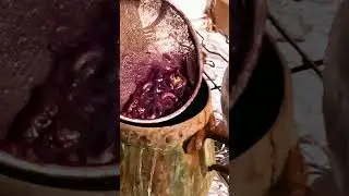 A handful of producers are bringing this ancient dye back to life. #DyeMaking #Snails #TyrianPurple