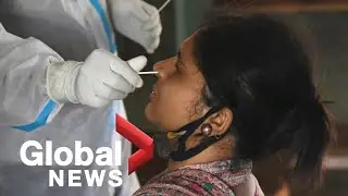 Coronavirus: COVID-19 infections surpass 25 million worldwide