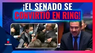 Morenistas y panistas se confrontan en el Senado | Noticias con Francisco Zea