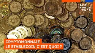 C'est quoi le Stablecoin ? La nouvelle monnaie digitale à la mode