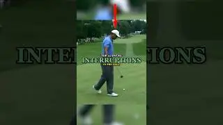 Top 12 Swing Interruptions In Pro Golf | Part 1
