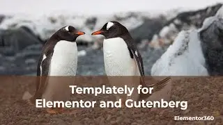 Templately for Elementor and Gutenberg