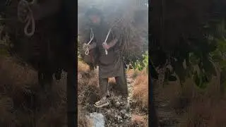 خطیب صاحب کی محنت مشقت