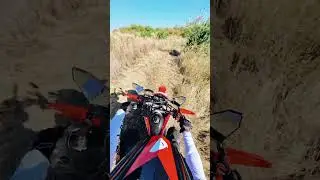 #bikelife #dirtbikeriding #motorcycle #forest #music #crf300l #motovlog #enduro #explore #honda #crf