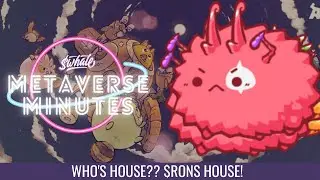 Should you be farming Axie Infinity's $RON? | Metaverse Minutes