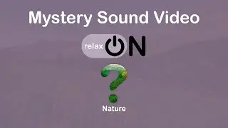 Nature Sounds - Find the Mystery Sound