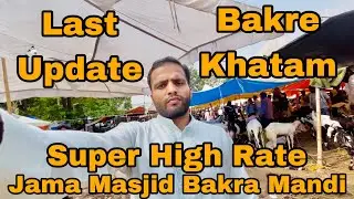 Jama masjid bakra mandi || Super high rate || Bakre Khatam