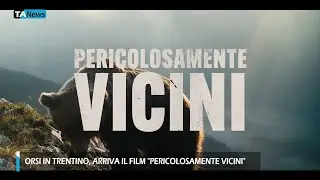 Orsi in Trentino, arriva il film 