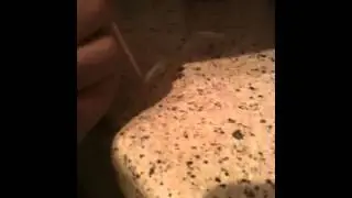 John snorting salt